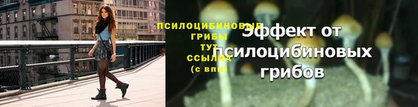 MDMA Premium VHQ Бронницы