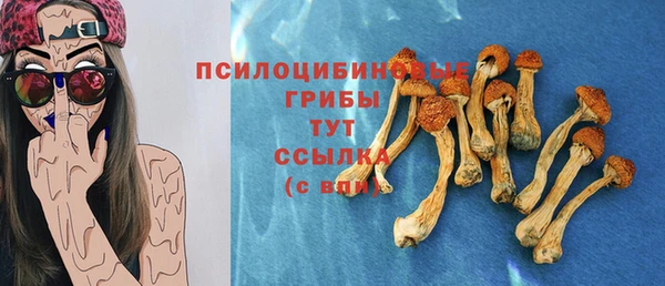 apvp Богородск