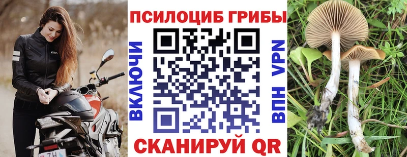 хочу   Ковылкино  Псилоцибиновые грибы ЛСД 